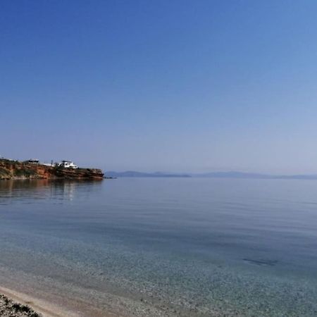 Summer House With A Pool Near Sea, Port & Airport Apartment Rafina  Bagian luar foto